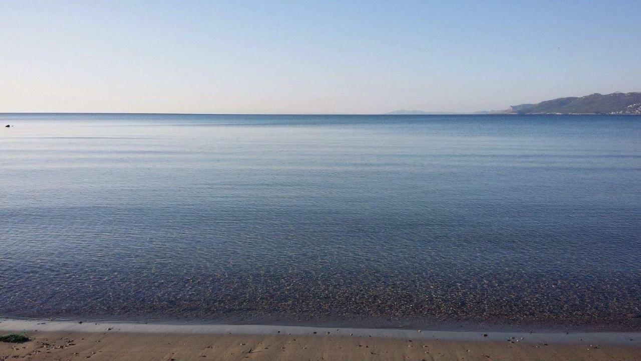 Vicky'S Place Αρτέμιδα Εξωτερικό φωτογραφία